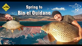 Spring to Bin el Ouidane - Walt Emmanuel - Autentik Sniper - Morocco Carp Spring to Bin el Ouidane - Walt Emmanuel - Autentik Sniper - Morocco Carp