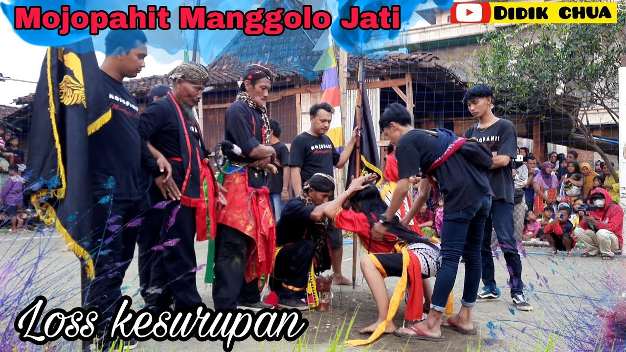 Kepang putri loss kesurupan, mojopahit manggolo jati, lok pidik