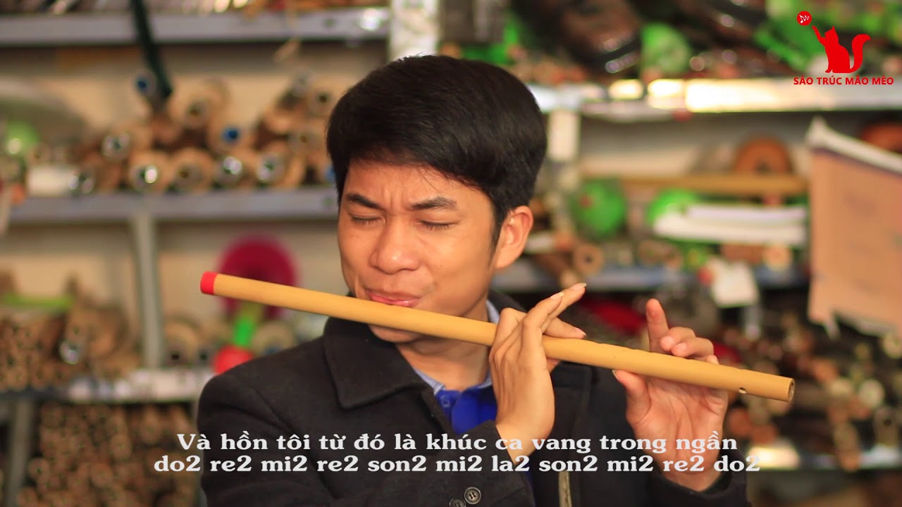 Từ Đó Cảm âm sáo trúc Mão Mèo Mắt Biếc OST - youtube