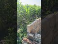 Ш Щ ЩЉ ШЁШ Ш Ш Ш Ш Щ Щѓ рџ Џрџ рџЋ Ш Щ ЩЉ ШЁШ Ш Ш Ш Ш Щ Щѓ рџ Џрџ рџЋ