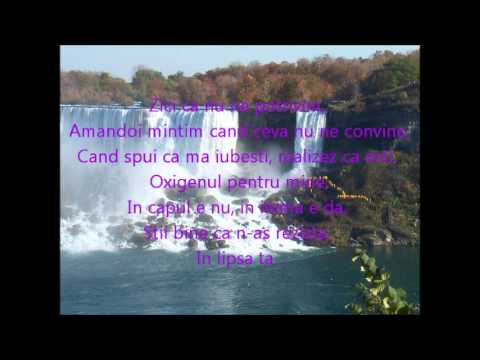 Andreea Banica Feat What S Up In Lipsa Ta Lyrics 