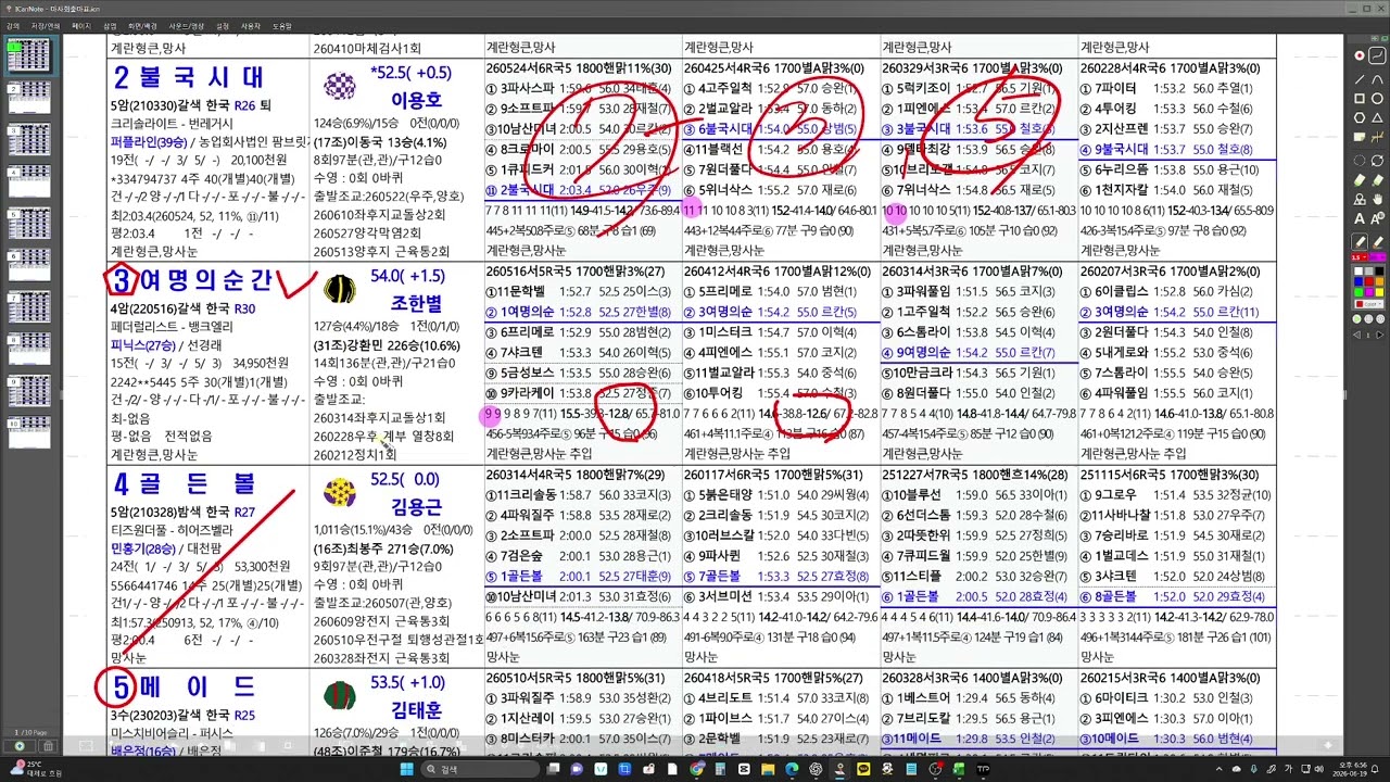 6월20일 토요경마 예상