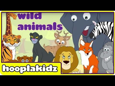 Learn About Wild Animals - Preschool Activity