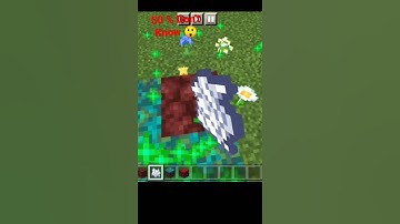 How to Get More Warped Nylium And Crimson Nylium From Netharrak #minecraft #toritoral #idea #shorts