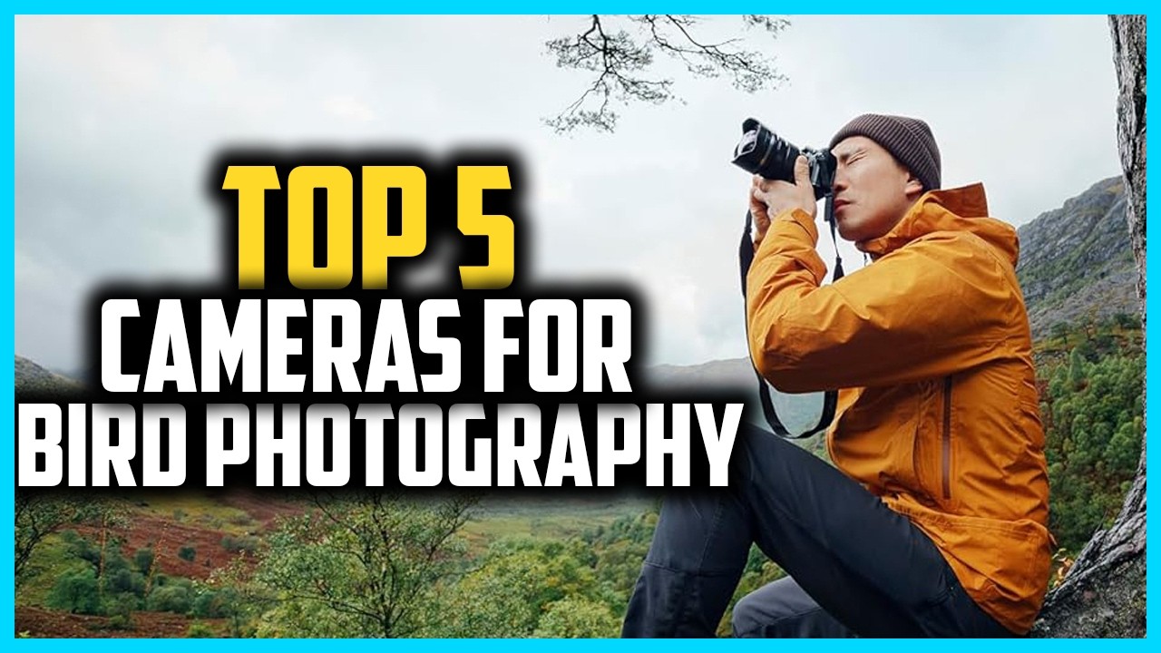 Top 5 Best Cameras For Bird Photography 2026 - YouTube