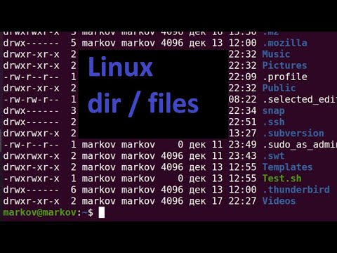 Работа с каталогами и файлами в терминале Linux