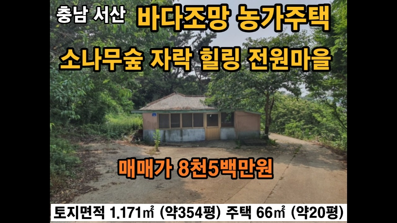 충남 서산 바다조망 농가주택 텃밭 바닷가 찾는다면 여기! 소나무숲 야산자락  힐링 전원마을 지곡면 도성리 서산부동산 서산농가주택매매 서산전원주택