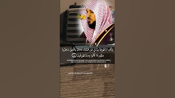 كتب على نفسه الرحمة سورة الأنعام|الشيخ ماهر المعيقلي قرآن كريم حالات واتساب