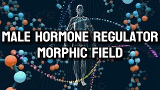 Male Hormone Regulator Morphic Field - For Men Only