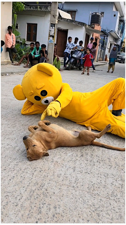 Teddy with Dog😱.......#mrcrazy #teddycomedy #funnyshorts