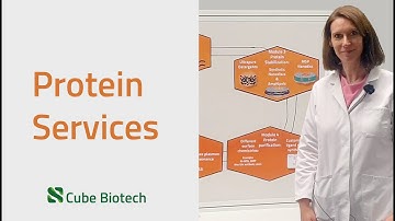 Membrane protein services @Cube Biotech