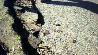 Fissure and Cracks in Estuary Intersection