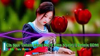 Cias kuv txhob muaj Koj Vws Xyooj Remix EDM