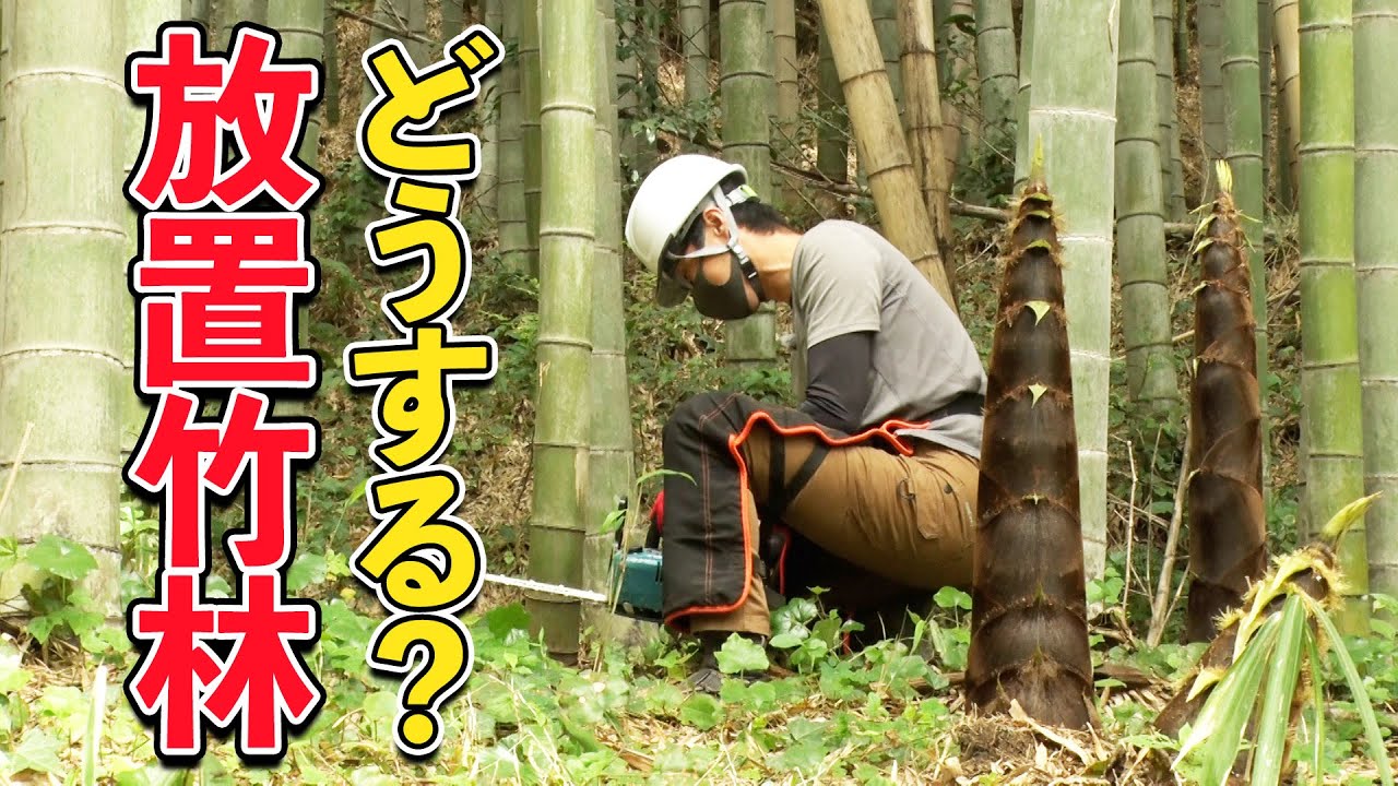 老者竹林 放置竹林から誕生！福祉施設が手がける注目の竹製品とは？ - YouTube