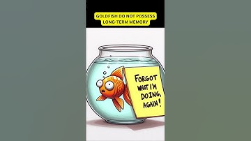 Debunking Goldfish Myths | Unlocking the Truth About Their Memory #shorts #trending #goldfish