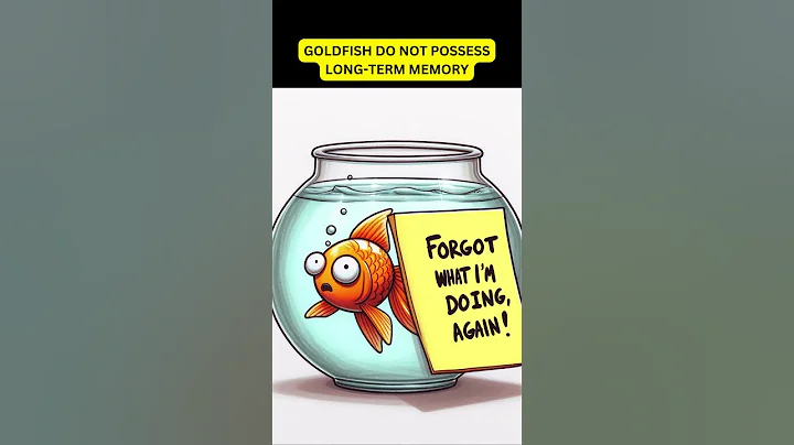 Debunking Goldfish Myths | Unlocking the Truth About Their Memory #shorts #trending #goldfish