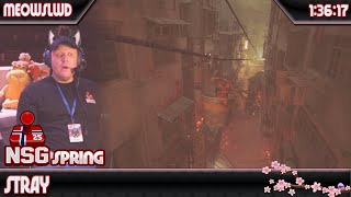 Stray by MiesLWD in 1:36:17 - NSG Spring 2025