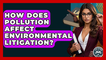 How Does Pollution Affect Environmental Litigation? - Law School Prep Hub