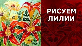 🌼 Как нарисовать цветы лилии и кореопсисы 🌼 Как нарисовать цветы лилии и кореопсисы