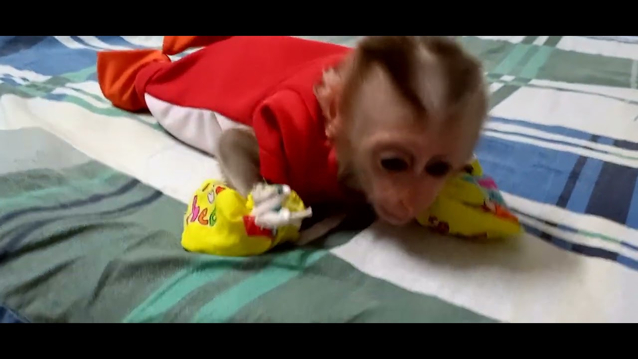 MONKEY BABY NA ! No more finger sucking