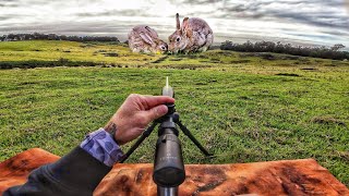 Rabbit Shooting With A 300 Win Mag