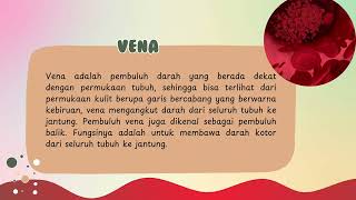 penjelasan perbedaan arteri dan vena
