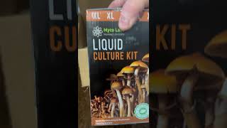 Midwest Grow Kits Delivery my fav bitcoin accepting mushroom supply vendor ​⁠ #mushrooms #mycology
