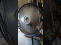 Safe pedestal fan #lasko #pedestalfan #safety