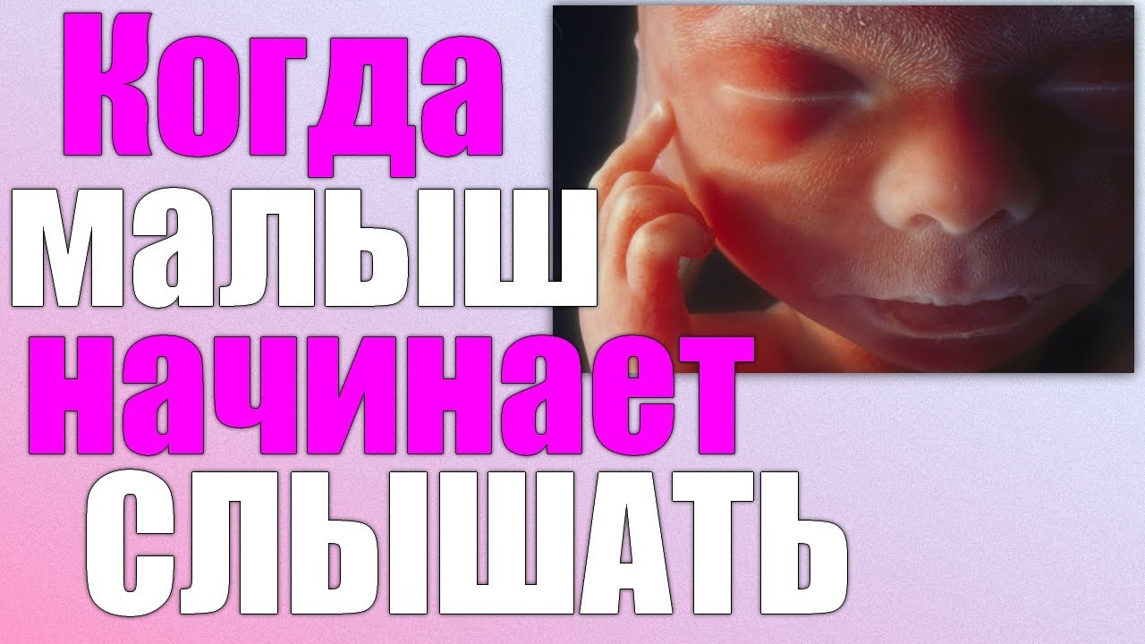 Когда ребенок начинает слышать в утробе матери | Развитие слуха ЭМБРИОНА