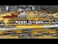 Appel Drogen | Gedroogde appel in de voedseldroger