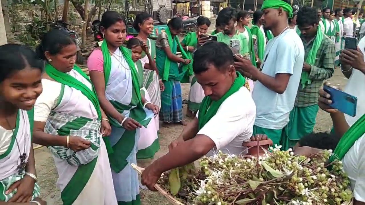 Budhra Dangi Disom Naiky Bahai Hating Daa//Santali traditional culture Baha Porob//2026