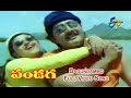 Bagundammo full song  pandaga  anr  srikanth  raasi  etv cinema