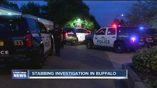 Buffalo Police investigating a stabbing near Elmwood Village