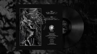 Escu Salishteanul - Tura12 Darcwax001