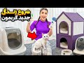 اولین روز گربه کوچولومون واکسن ناخن خاک و کلی بازی بامزه