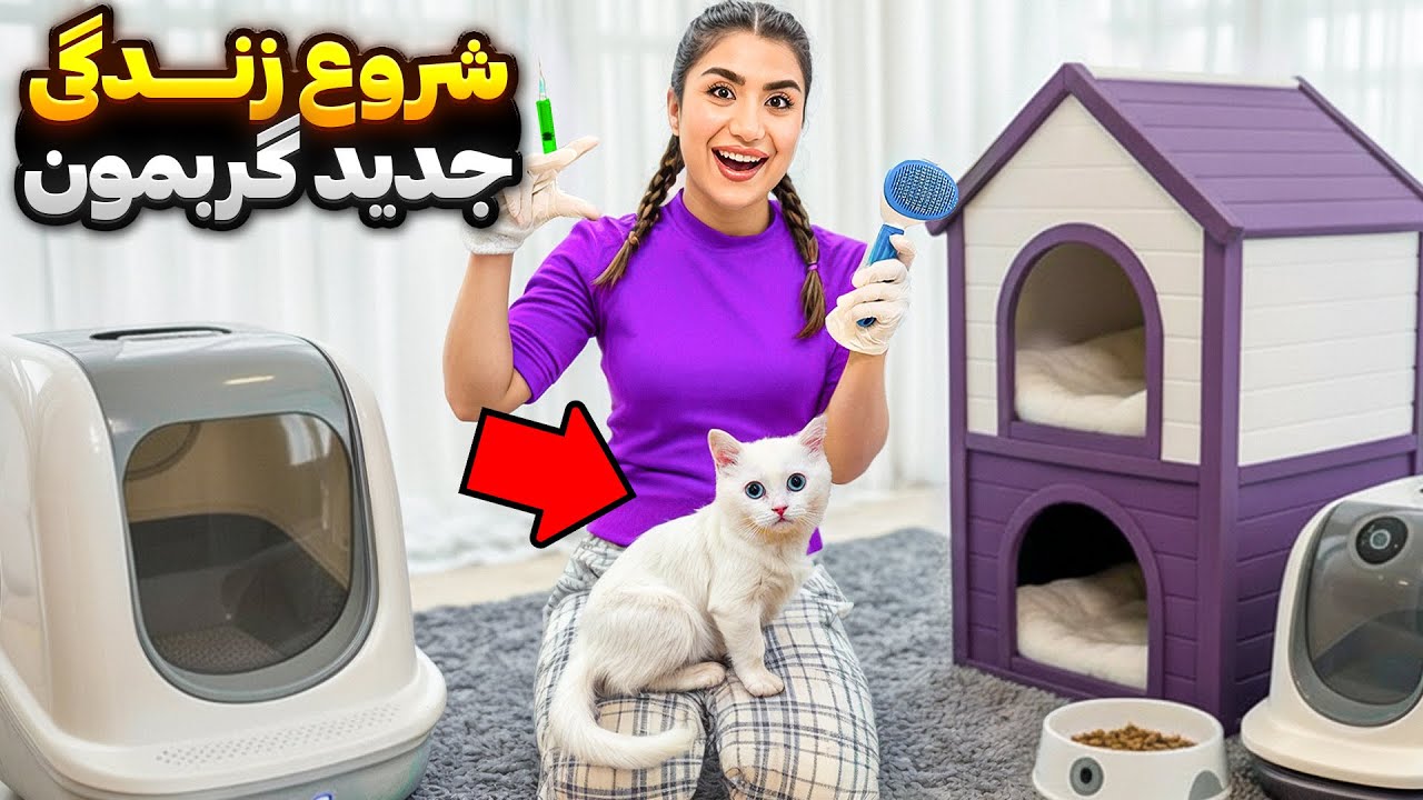 اولین روز گربه کوچولومون 😻 واکسن، ناخن، خاک و کلی بازی بامزه!