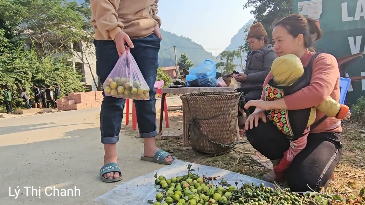 mysterious and dangerous forest. My single mother went to the forest to pick wild fruits to sell