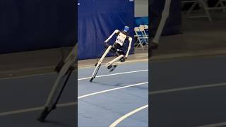 POV: You’re at the World Humanoid Robot Games and things get out of control 😂🤖 #robotics