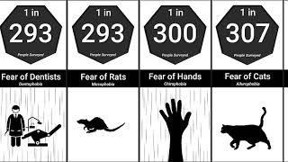 Probability Comparison: Phobias and Fears