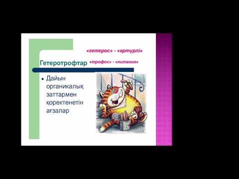 Бейне: Голозойлы организмдер дегеніміз не?