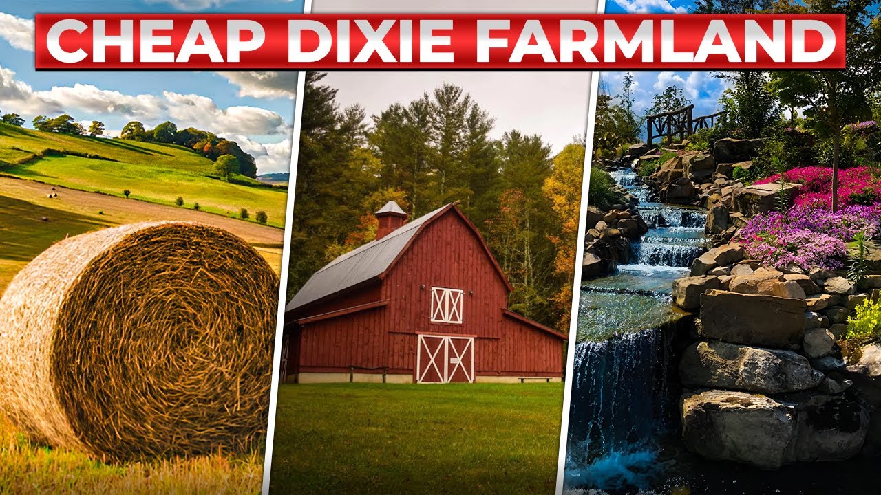 Топ-10 самых дешевых мест на юге США для покупки сельскохозяйственных земель