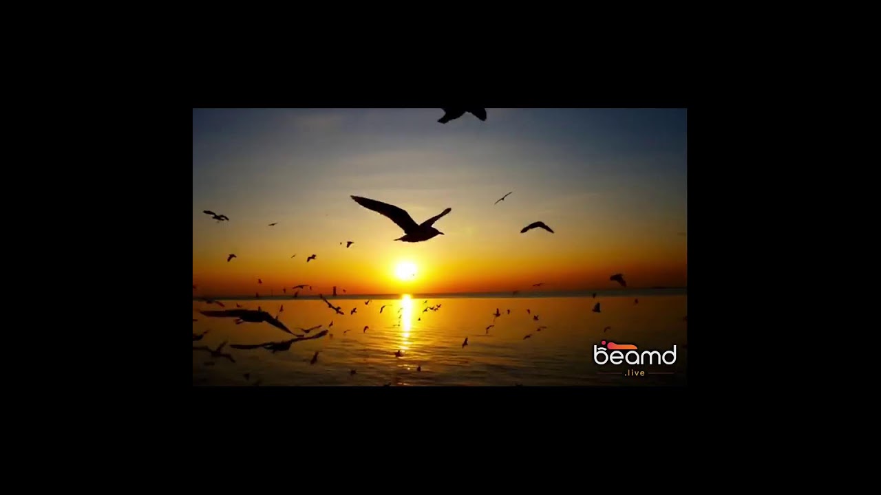 بث مباشر من قِبل 🦅جمال🦅.