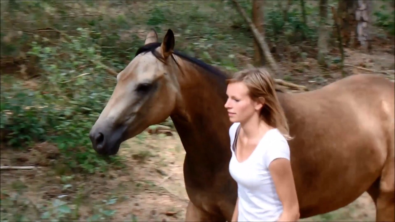 TAKING MY 2 YEAR OLD HORSE IN LIBERTY TO THE FOREST FOR THE FIRST TIME