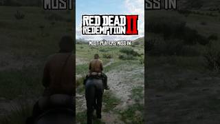 2 Rare Locations Most Players Miss in Red Dead Redemption 2