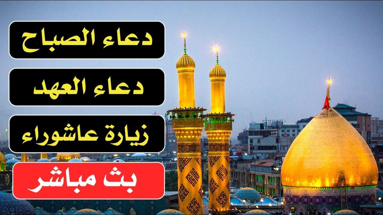 بث مباشر دعاء الصباح - دعاء العهد - زيارة عاشوراء - زيارة ابي الفضل العباس ع | كربلاء مباشر الان