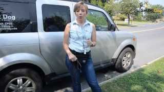 Wait and Stay - What's the Difference?