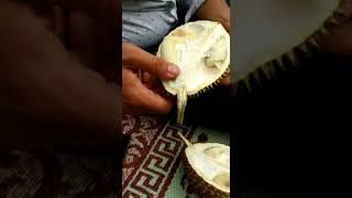 trying some durian for the first time
