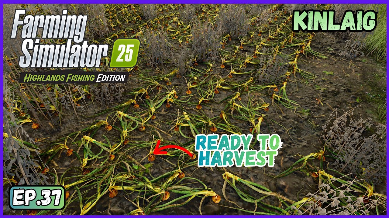 Preparing For Onions | Farming Simulator 25: Highlands Fishing Gameplay | Ep.37