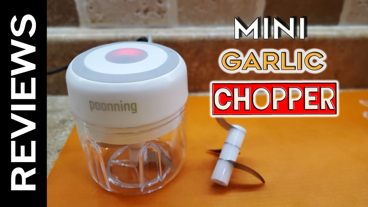 DmofwHi Electric Garlic Chopper,Cordless Mini Chopper With USB  Rechargeable,304 Stainless Steel Blade,250ml Portable Electric Mini Food  Chopper for