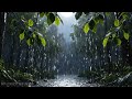 Experience Pure Calm with Rainfall 24/7 | Relaxing Ambience for Sleep, Focus, and Mindful Rest